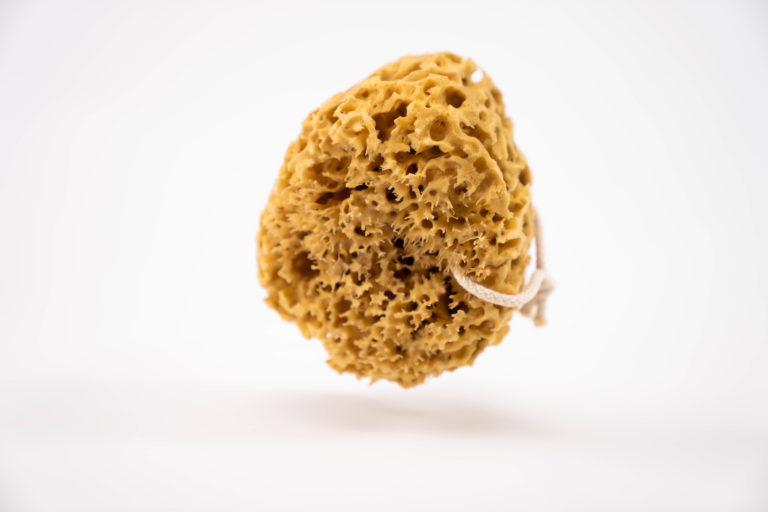 How to clean and care for your sea sponge Jordan Benedict London