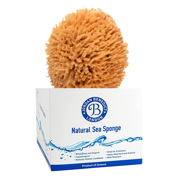 Natural wool sea sponge in gift box by Jordan Benedict London, UK