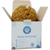 Luxury honeycomb sea sponge For the body