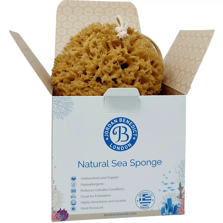 Luxury honeycomb sea sponge in beige gift box by Jordan Benedict London, UK