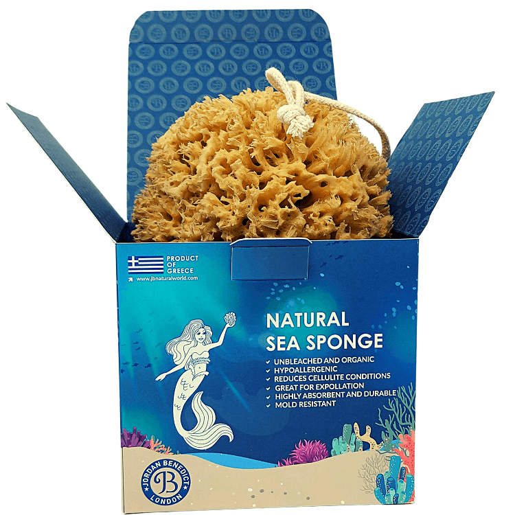 Natural honeycomb sea sponge in dark blue gift box by Jordan Benedict London, UK