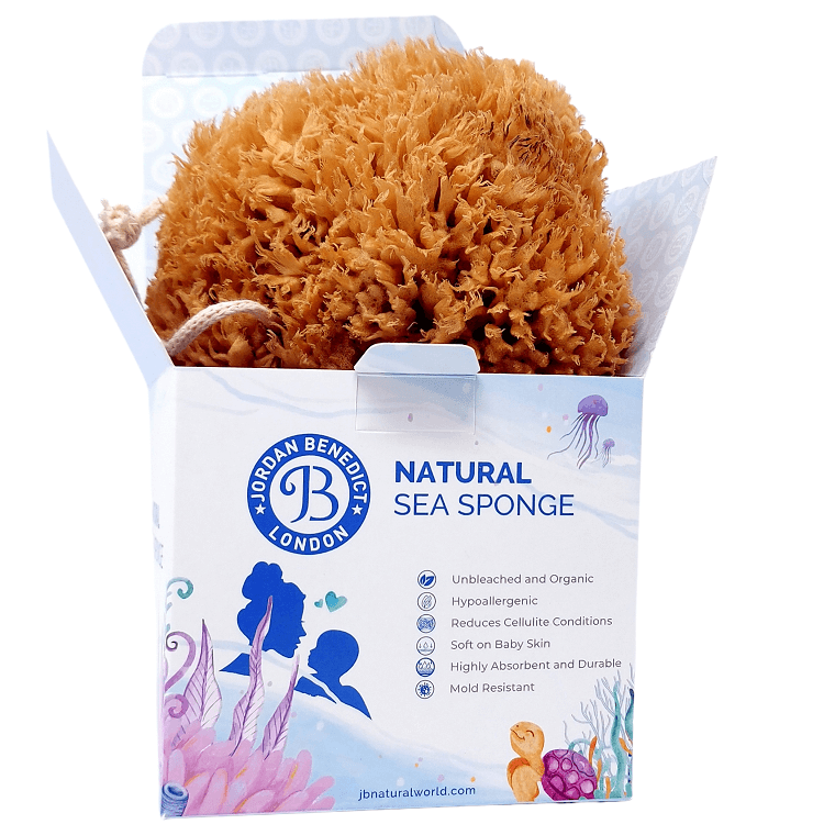 Luxury soft wool sea sponge – light blue gift box