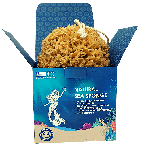 Natural honeycomb sea sponge | 100% real natural sea sponges | Jordan Benedict London