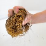 How to clean and care for your sea sponge