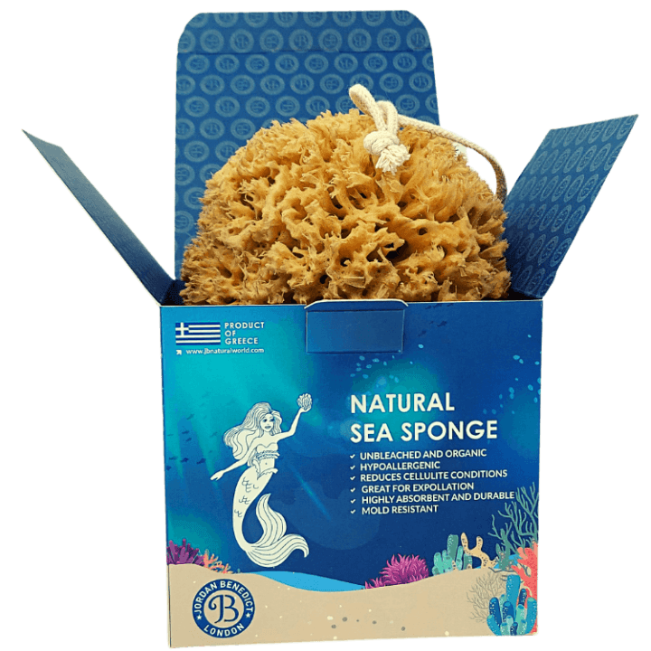 100 Real natural sea sponges Jordan Benedict London, UK