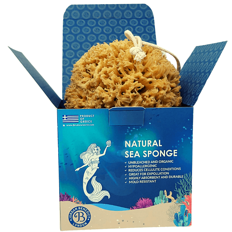 100 Real natural sea sponges Jordan Benedict London, UK