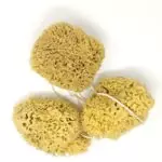 Honeycomb sea sponge value pack