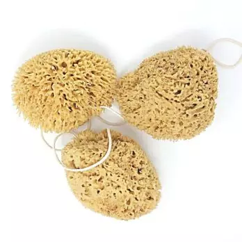 Honeycomb sea sponge value pack For the body