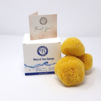 Natural face care sponges For the face