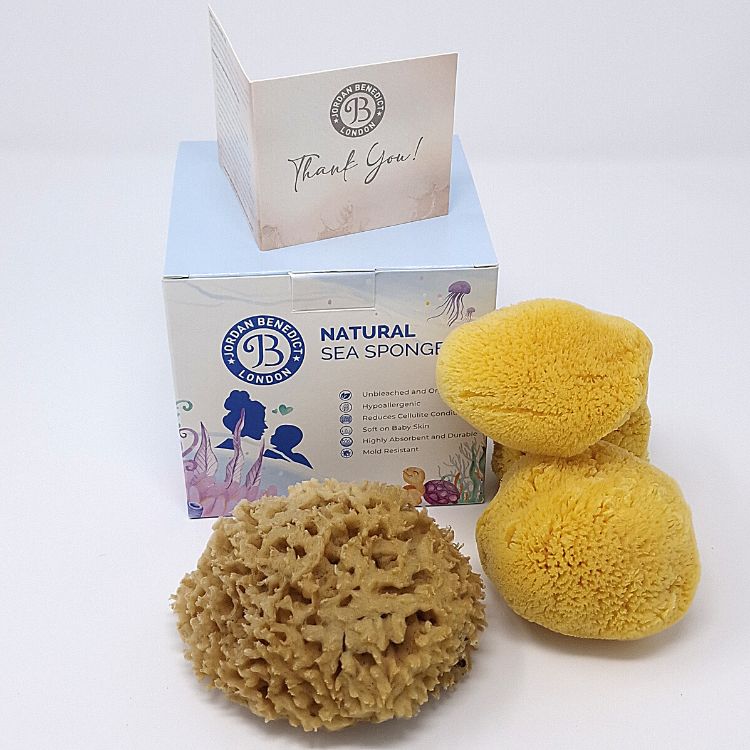 New born baby sponge + Natural face care sponges combo (1+3 pack) For the face