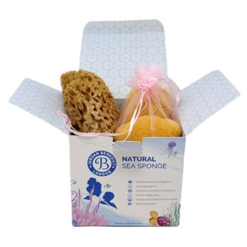 New born baby sponge + Natural face care sponges combo (1+3 pack) For the face