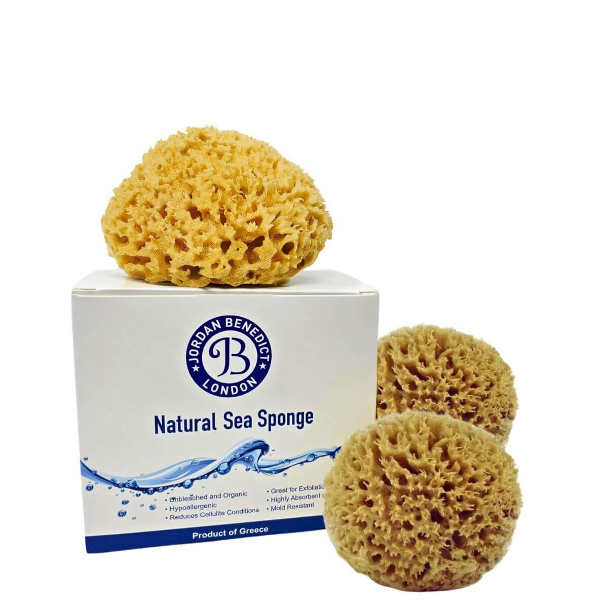 Baby bath honeycomb sea sponge