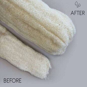 Egyptian luxury whole loofah – Compressed – 60cm+ For the body