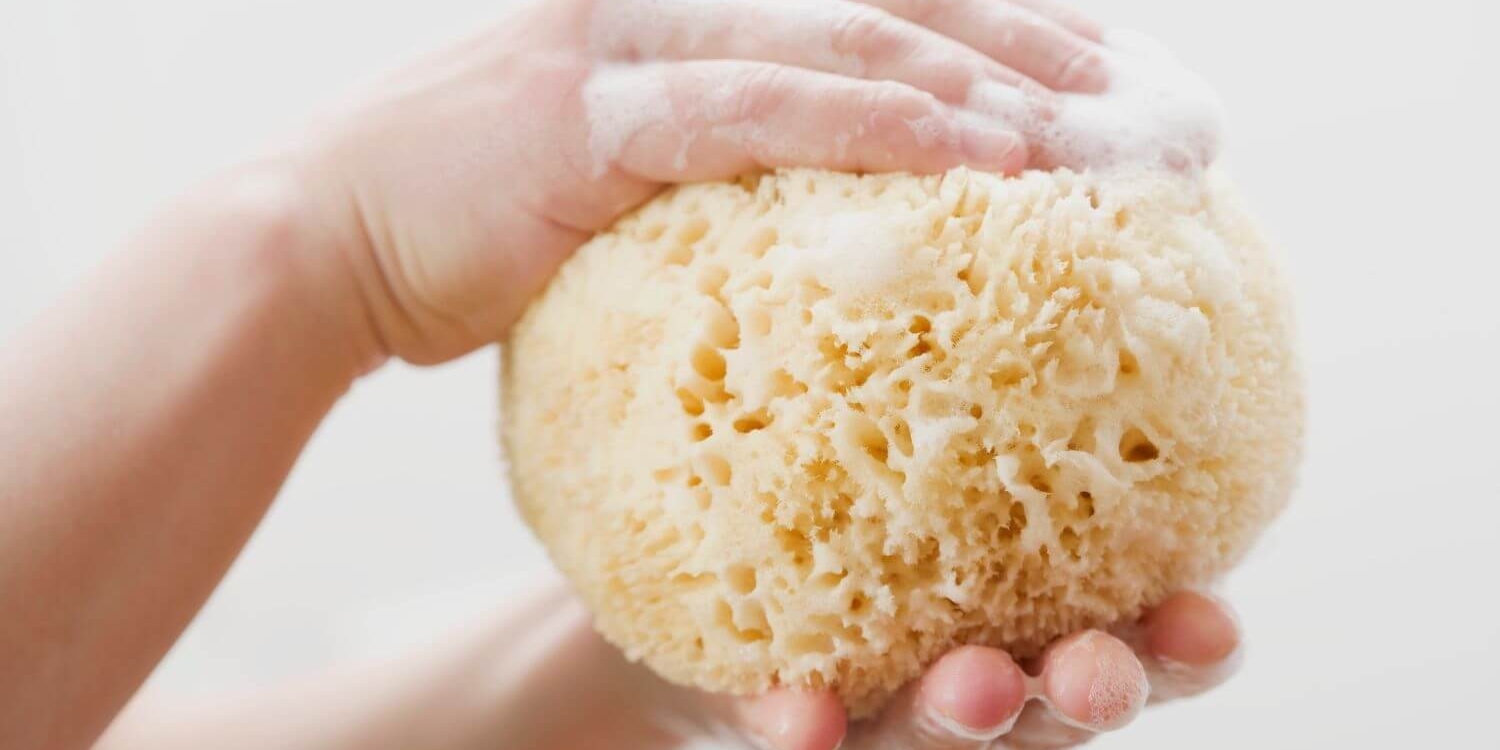 The perfect present: Natural sea sponges for unique and beneficial gifting