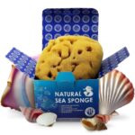 Natural sea sponge for baby bath