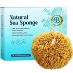 Honeycomb sea sponge - Compressed