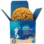 Natural honeycomb sea sponge